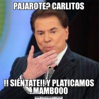 PAJAROTE? CARLITOS!! SIÉNTATE!! Y PLATICAMOS ..MAMBOOO