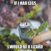 IF I HAD LEGSI WOULD BE A LIZARD