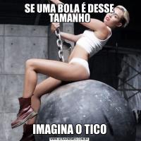 SE UMA BOLA É DESSE TAMANHOIMAGINA O TICO