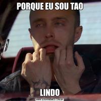 PORQUE EU SOU TAOLINDO