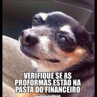 VERIFIQUE SE AS PROFORMAS ESTÃO NA PASTA DO FINANCEIRO