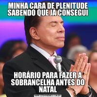 MINHA CARA DE PLENITUDE SABENDO QUE JÁ CONSEGUIHORÁRIO PARA FAZER A SOBRANCELHA ANTES DO NATAL