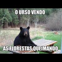 O URSO VENDO AS FLORESTAS QUEIMANDO