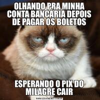 OLHANDO PRA MINHA CONTA BANCÁRIA DEPOIS DE PAGAR OS BOLETOSESPERANDO O PIX DO MILAGRE CAIR