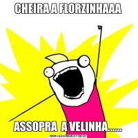 CHEIRA A FLORZINHAAAASSOPRA  A VELINHA......