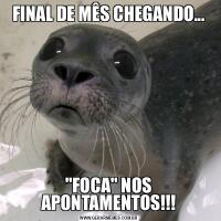 FINAL DE MÊS CHEGANDO...&QUOT;FOCA&QUOT; NOS APONTAMENTOS!!!