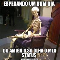 ESPERANDO UM BOM DIA DO AMIGO Q SO OLHA O MEU STATUS 