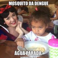 MOSQUITO DA DENGUEÁGUA PARADA: