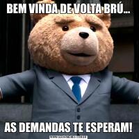BEM VINDA DE VOLTA BRÚ...AS DEMANDAS TE ESPERAM!