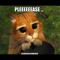 PLEEEEEEASE … 