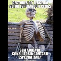 GESTORES DO TERCEIRO SETOR ESPERANDO O CEBASSEM AJUDA DE CONSULTORIA CONTÁBIL ESPECIALIZADA 