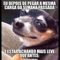EU DEPOIS DE PEGAR A MESMA CARGA DA SEMANA PASSADAE ESTAR ACHANDO MAIS LEVE QUE ANTES: