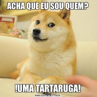 ACHA QUE EU SOU QUEM?!UMA TARTARUGA!