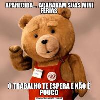  APARECIDA...  ACABARAM SUAS MINI FÉRIASO TRABALHO TE ESPERA E NÃO É POUCO