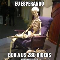 EU ESPERANDOBCH A U$ 280 BIDENS