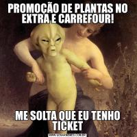 PROMOÇÃO DE PLANTAS NO EXTRA E CARREFOUR!ME SOLTA QUE EU TENHO TICKET