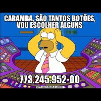 CARAMBA, SÃO TANTOS BOTÕES, VOU ESCOLHER ALGUNS773.245.952-00