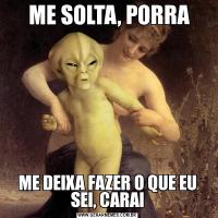  ME SOLTA, PORRAME DEIXA FAZER O QUE EU SEI, CARAI