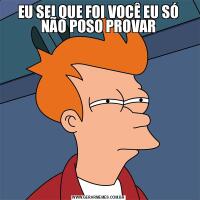 EU SEI QUE FOI VOCÊ EU SÓ NÃO POSO PROVAR