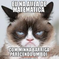EU NA AULA DE MATEMÁTICA COM MINHA BARRIGA PARECENDO UM BOI 