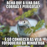 ACHA QUE A ILHA DAS COBRAS É PERIGOSA?É SÓ CONHECER AS VÉIA FOFOQUEIRA DA MINHA RUA