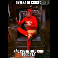 OVELHA DE CRISTONÃO POSTA FOTO COM POUCA LÃ