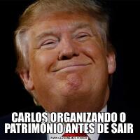 CARLOS ORGANIZANDO O PATRIMÔNIO ANTES DE SAIR