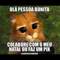 OLÁ PESSOA BONITACOLABORE COM O MEU NATAL OU FAZ UM PIX