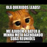 OLÁ QUERIDOS LEADS!ME AJUDEM A BATER A MINHA META AGENDANDO SUAS REUNIÕES 