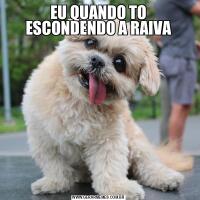 EU QUANDO TO ESCONDENDO A RAIVA