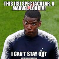 THIS [IS] SPECTACULAR, A MARVEL. LOOK!!!!I CAN'T STAY OUT