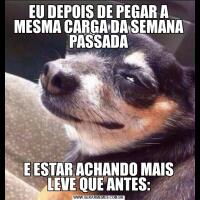 EU DEPOIS DE PEGAR A MESMA CARGA DA SEMANA PASSADAE ESTAR ACHANDO MAIS LEVE QUE ANTES: