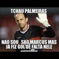 TCHAU PALMEIRAS NAO SOU   SAO MARCOS MAS JA FIZ GOL DE FALTA NELE