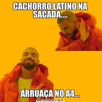 CACHORRO LATINO NA SACADA....ARRUAÇA NO A4...