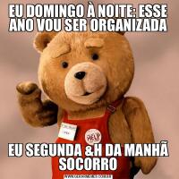 EU DOMINGO À NOITE: ESSE ANO VOU SER ORGANIZADAEU SEGUNDA &AMP;H DA MANHÃ SOCORRO
