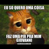 EU SO QUERO UMA COISAFAZ UMA PIX PRA MIM  GIOVANNI