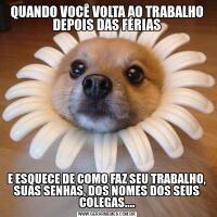 QUANDO VOCÊ VOLTA AO TRABALHO DEPOIS DAS FÉRIASE ESQUECE DE COMO FAZ SEU TRABALHO, SUAS SENHAS, DOS NOMES DOS SEUS COLEGAS....