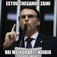 ESTOU CHEGANDO ZAINIVAI MELHORAR! #NIOBIO