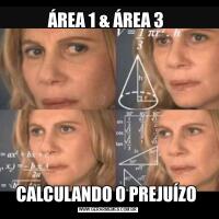 ÁREA 1 & ÁREA 3 CALCULANDO O PREJUÍZO 