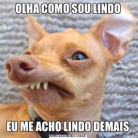 OLHA COMO SOU LINDOEU ME ACHO LINDO DEMAIS