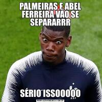 PALMEIRAS E ABEL FERREIRA VÃO SE SEPARARRRSÉRIO ISSOOOOO