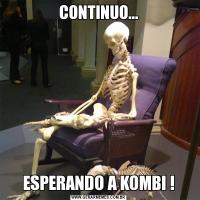 CONTINUO...ESPERANDO A KOMBI !