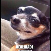 REALIDADE: