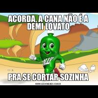 ACORDA, A CANA NÃO É A DEMI LOVATOPRA SE CORTAR SOZINHA