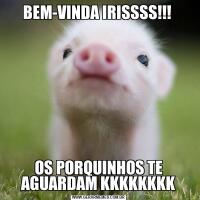 BEM-VINDA IRISSSS!!! OS PORQUINHOS TE AGUARDAM KKKKKKKK