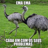 EMA EMA CADA UM COM OS SEUS PROBLEMAS 