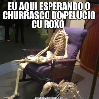 EU AQUI ESPERANDO O CHURRASCO DO PELUCIO CU ROXO 