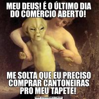 MEU DEUS! É O ÚLTIMO DIA DO COMÉRCIO ABERTO! ME SOLTA QUE EU PRECISO COMPRAR CANTONEIRAS PRO MEU TAPETE! 