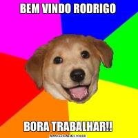 BEM VINDO RODRIGOBORA TRABALHAR!!