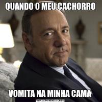 QUANDO O MEU CACHORROVOMITA NA MINHA CAMA